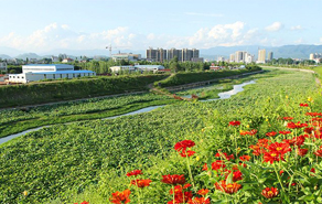 垃圾填埋廠生態(tài)修復(fù)